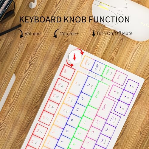 Newmen GM326 Mechanical Keyboard,75% Percent Gaming Keyboard,Wired Keyboard