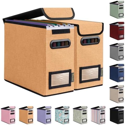 BALEINE File Organizer Box with Lid, Collapsible Hanging File Storage Box