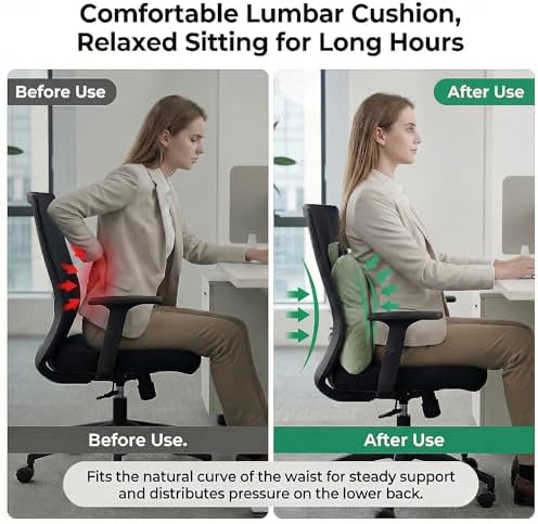 Lumbar Support Pillow for Office Chair and Car Seat, Celadon Green