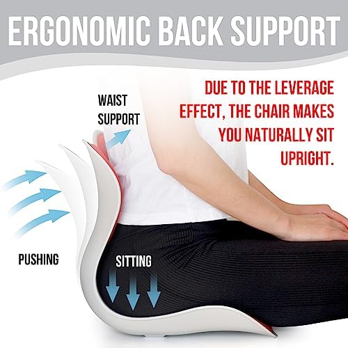 Lumbar Support Posture Corrector for Women – Size M Ergonomic Back Support Cushion for Lower Back Pain Relief and Posture Correction - Portable Lumbar Support Curve Pad