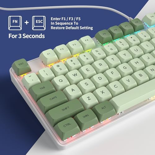 Owpkeenthy Full Size Green Mechanical Gaming Keyboard with Number Pad, Wired 100% Office NKRO Keyboard RGB Backlit 104 Keys with Red Switch for PC Gamer (104 Matcha)