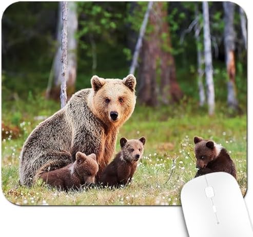 9.5x7.9 Inch Office/Gaming Mouse Pad, Adorable Brown Bear Cubs in Forest Wildlife Family in Wildflower Meadow, Cute Anti-Slip Mat for Desk Decor