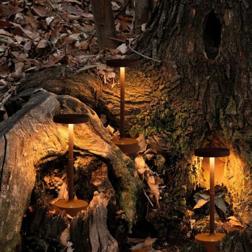 LED Cordless Table Lamp Rechargeable,Battery Powered Outdoor Table Light