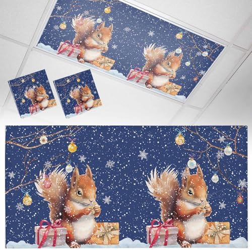 2 Pcs Fluorescent Light Covers for Ceiling Lights,Christmas Squirrel Winter Snowflake,Magnetic Light Filters Drop Fluorescent Lights Shade for Office Xmas Ball Dark Blue