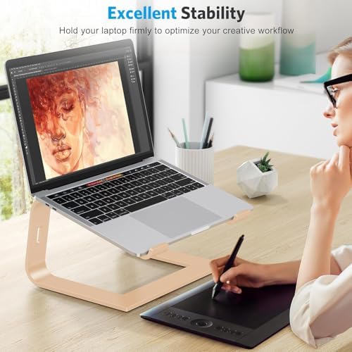 OMOTON Laptop Stand, Detachable Laptop Mount, Aluminum Laptop Holder Stand for Desk, Compatible with MacBook Air/Pro, Dell, HP, Lenovo and All Laptops (11-16 inch), Gold