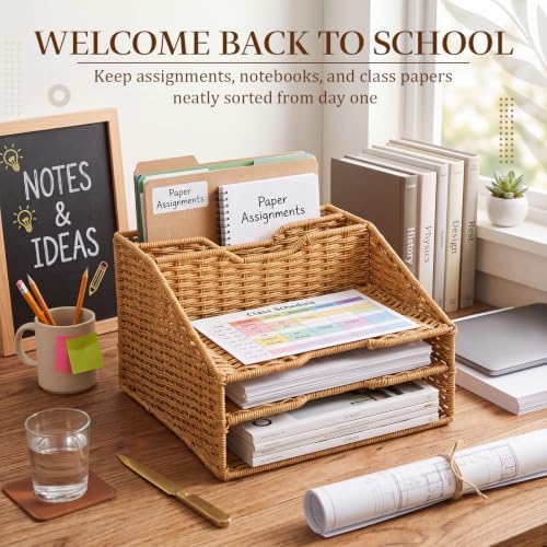 RattanView Desk File Organizer, Woven Mail Organizer Countertop, Plastic
