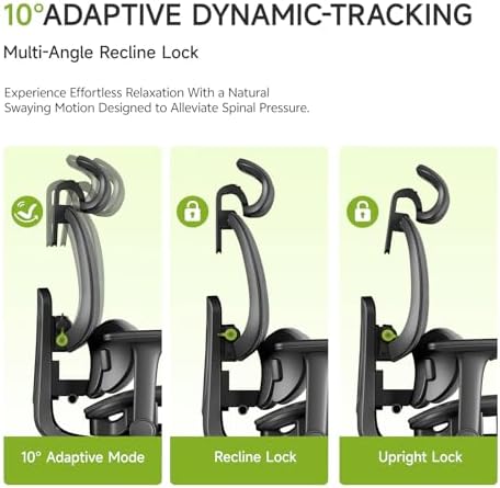 X19 Ergonomic Office Chair, 3-Zone Lumbar for Back Pain Relief