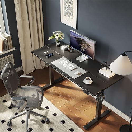 Agilestic 48 * 24 Inch Height Adjustable Electric Standing Desk, Black