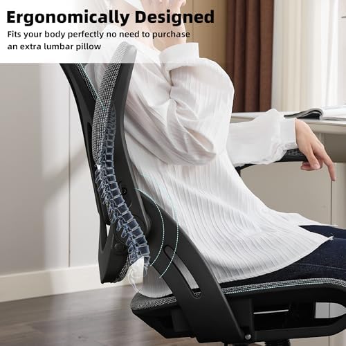 Ergonomic Office Chair, Computer Desk Chair with Lumbar,Grey