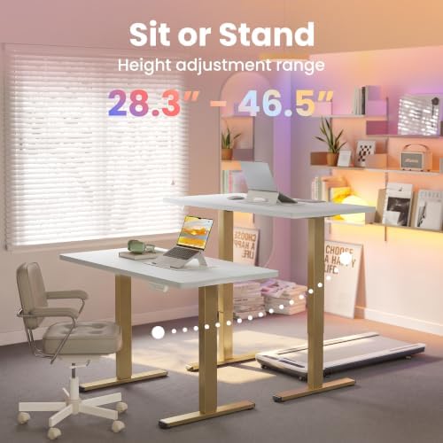 HUANUO 48x24 Inch Electric Standing Desk, Height Adjustable
