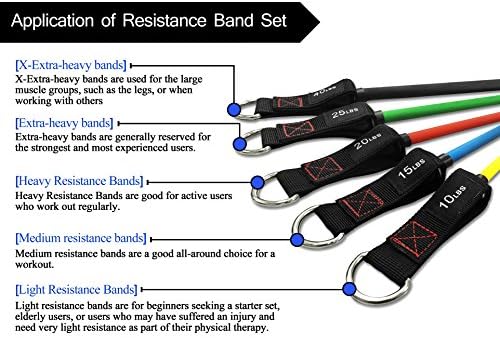 TheFitLife Resistance Bands Set with Handles, Door Anchor and Ankle Straps