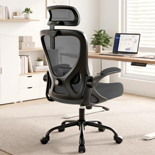 AreShark Ergonomic Office Chair - Mesh High Back Desk Chair Headrest Lumbar