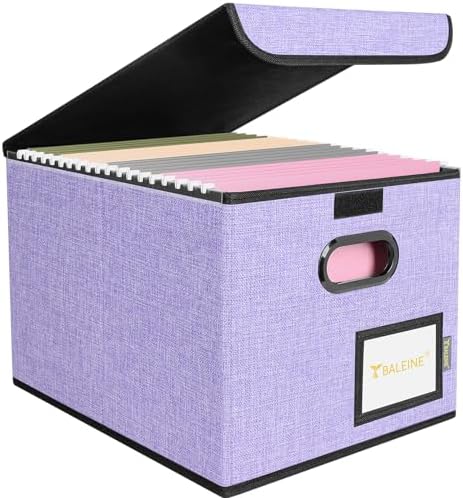 BALEINE File Organizer Box with Lid, Collapsible Hanging File Storage Box