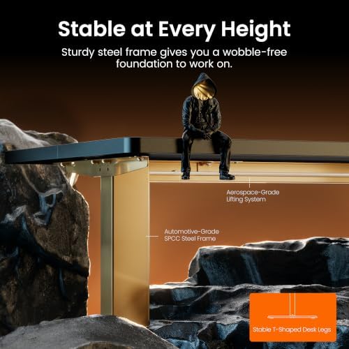 ErGear Height Adjustable Electric Standing Desk, 48 x 24 Inches Sit Stand up Desk, Memory Computer Home Office Desk, Black+Gold