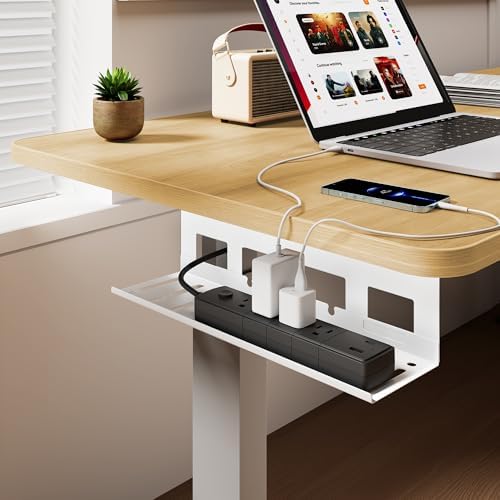 PEGZONE Under Desk Cable Management Tray, 15.7'' Screw-Mount Steel Rack