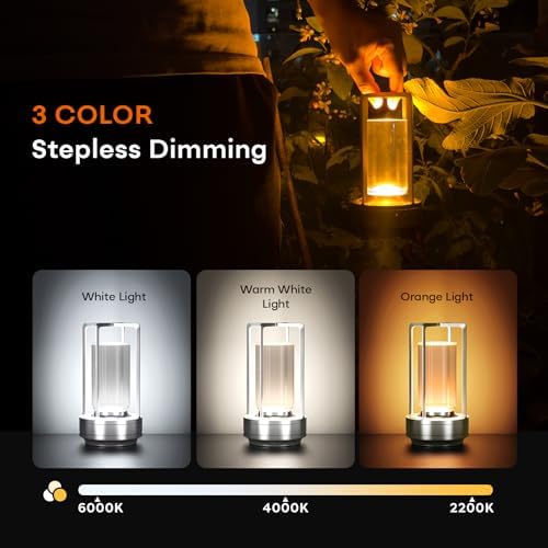 Rechargeable Cordless Small Metal Table Lamp, Stepless Dimming, 3-Color