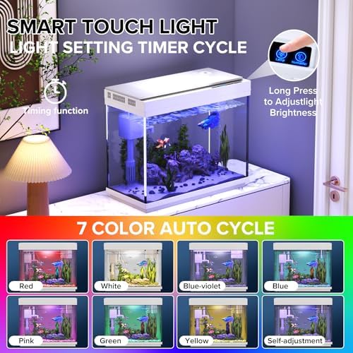 Vehipa Betta Fish Tank 2.4 Gallon HD Glass Aquarium Starter Kits