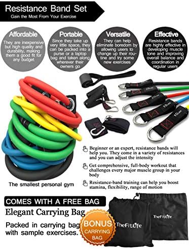 TheFitLife Resistance Bands Set with Handles, Door Anchor and Ankle Straps