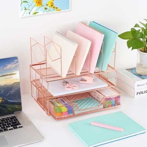 Desk Organizers and Accessories, 2-Tier Desk Organizer with Drawer, Rose