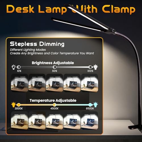 LED Desk Lamp for Office Dorm Home, No Assembly Required