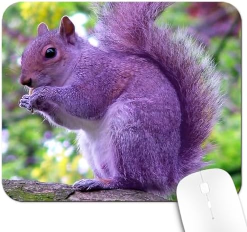 9.5x7.9 Inch Office/Gaming Mouse Pad, Lovely Purple Woodland Squirrel Adorable Forest Animal, Cute Anti-Slip Mat for Desk Decor