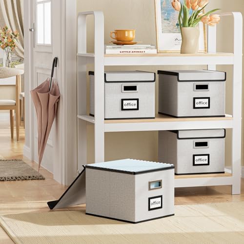 File Organizer Box with Lids, Collapsible File Folder Organizer