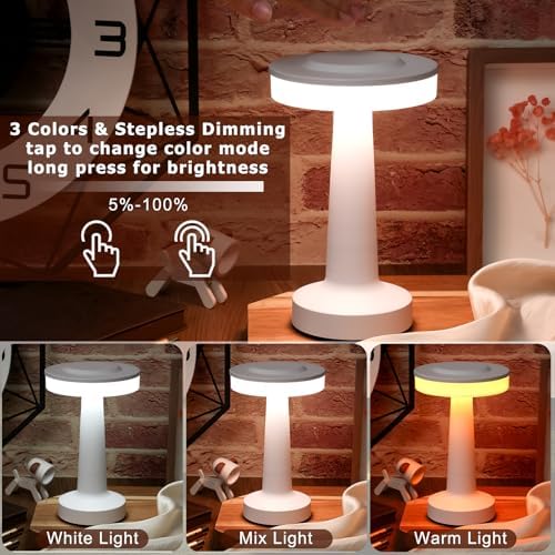 Riakrum 2 Pcs LED Cordless Table Lamp Bulk Rechargeable,White