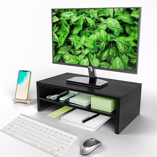 Simple Trending 2-Tier Monitor Stand Riser, Desk Storage Organizer, Black
