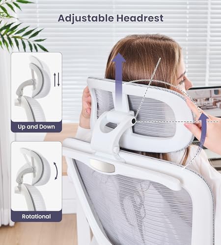 Ergonomic Office Chair, Executive Chairs with Adjustable Lumbar Support