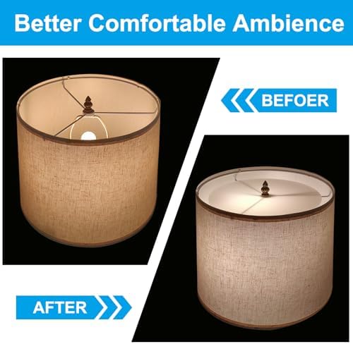 PATIKIL Lampshade Diffuser, 2 Pack 9.5" Diameter with 3/8" Center Hole Round Diffuser for Drum Lampshades Pendants Light Fits 10-12" Openings, Frosted White