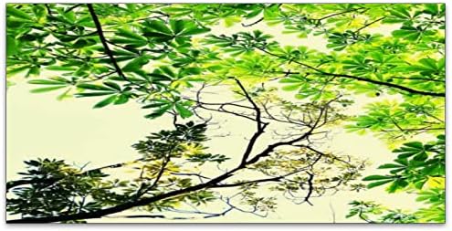 Fluorescent Light Cover Decorative Ceiling Light Filters,Branch Leaves Pattern,for Classroom Office Hospitals Home Ceiling Decorative,2ft x 4ft,Green