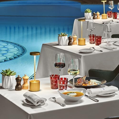 SAKRINGT Cordless Table Lamp Rechargeable,Outdoor LED Table Light