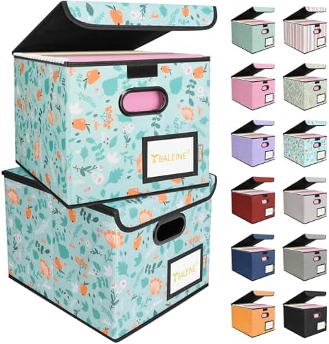 BALEINE File Organizer Box with Lid, Collapsible Hanging File Storage Box