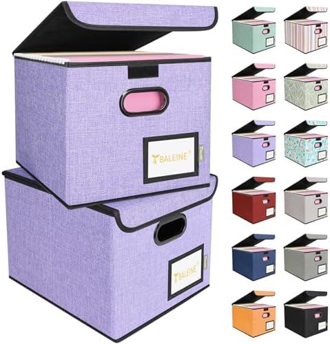 BALEINE File Organizer Box with Lid, Collapsible Hanging File Storage Box