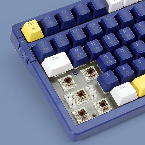 Merdia Wireless Mechanical Keyboard, Triple Mode 2.4G/USB-C/BT Gaming Keyboards 100 Keys Ice-Blue Backlit, Brown Switch Keyboard | Rechargeable Mechanical Gaming Keyboards | Blue/White/Yellow