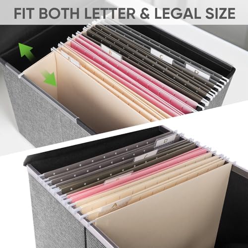 BALEINE File Organizer Box with Lid, Collapsible Hanging File Storage Box