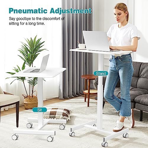 DUMOS Small Standing Desk with Wheels, Laptop Desk, 19 Inch