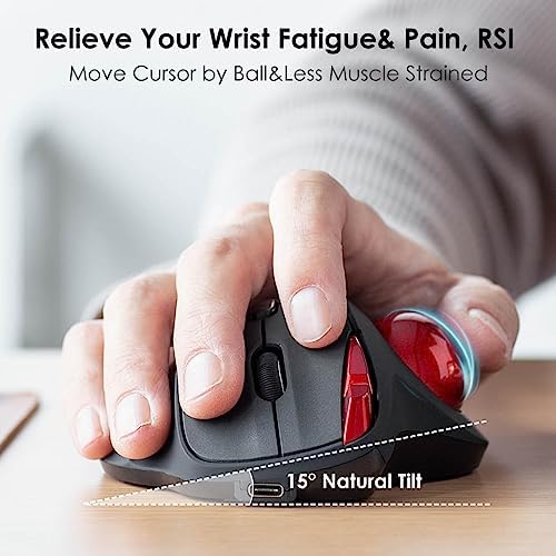 SANWA 2.4G Wireless Trackball Mouse, Silent Click, Programmable Roller Mice