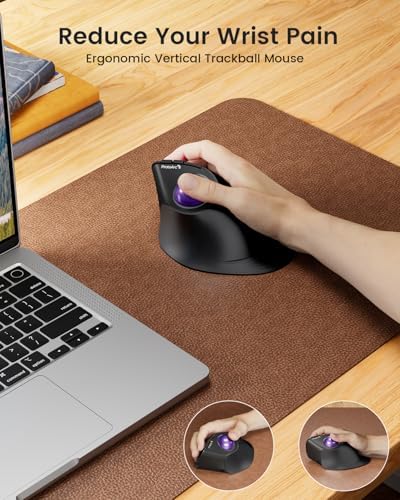 ProtoArc EM05 NL Wireless Vertical Trackball Mouse, 5 DPI Levels, Purple