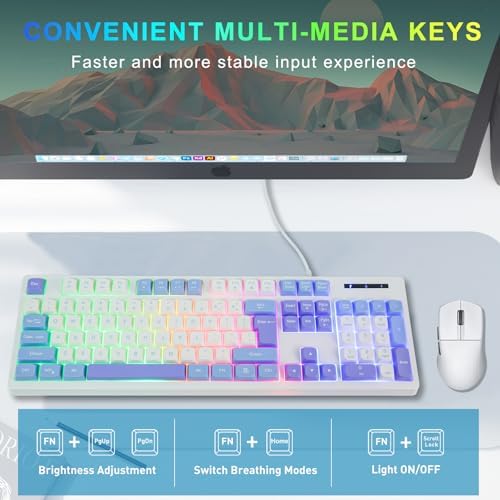 HUO JI Wired Gaming Keyboard with Rainbow LED Backlit, White Blue