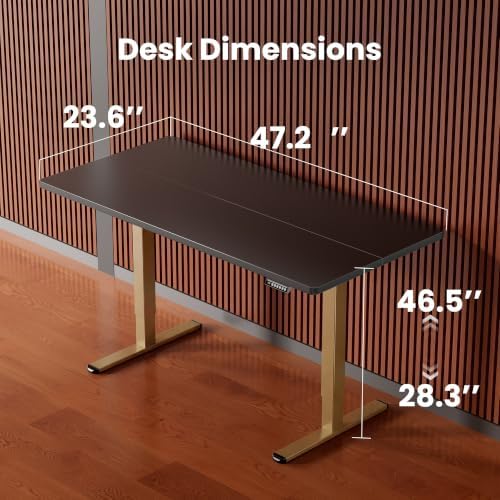 ErGear Height Adjustable Electric Standing Desk, 48 x 24 Inches Sit Stand up Desk, Memory Computer Home Office Desk, Black+Gold