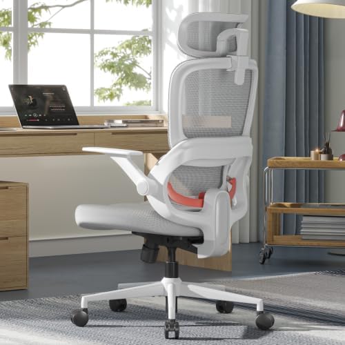 SIHOO B100 SE Ergonomic Mesh Office Chair, Desk Chair with Lumbar Support