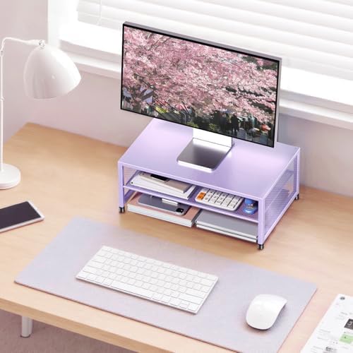 ECOLOVI 2-Tier Computer Monitor Stand Riser, Printer & Laptop Stand, Office Desk Accessories, Workspace Desk Organizer for Home Office Supplies, Purple