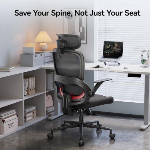 SIHOO B100 SE Ergonomic Office Chair, Desk Chair with Lumbar Support