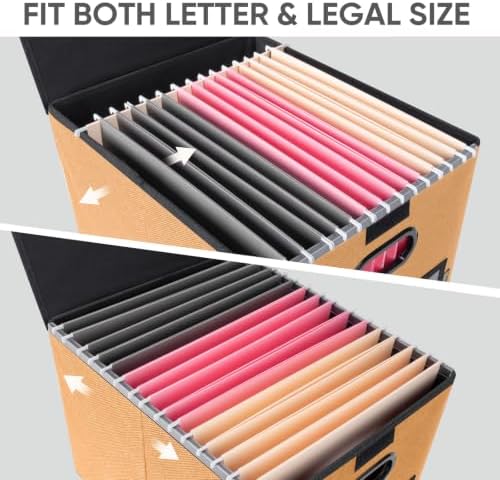 BALEINE File Organizer Box with Lid, Collapsible Hanging File Storage Box