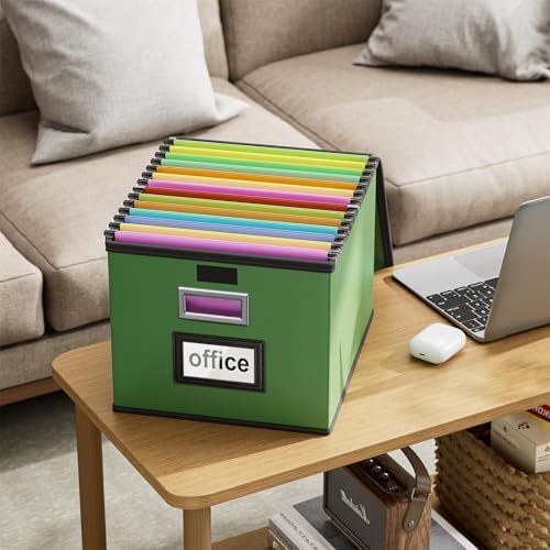 File Organizer Box with Lids, Collapsible File Folder Organizer