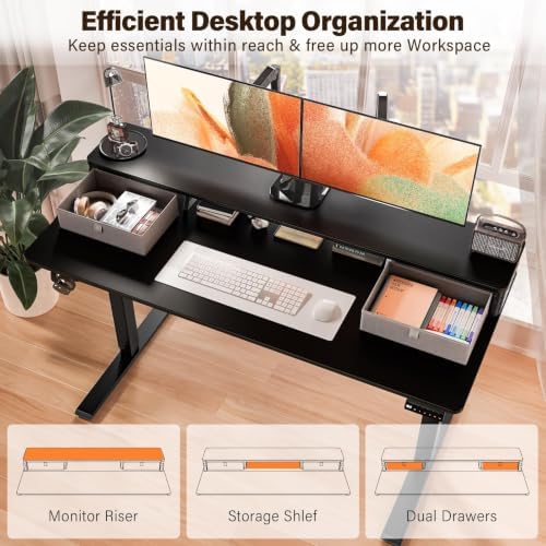 Kingant 55x24 Inch Electric Standing Desk with Dual Drawers, Black