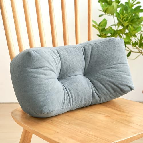 Be&xn Soft Lumbar Support Pillow for Office Chair & Car, Corduroy Back Support Pillow for Lower Back Pain Relief, Ergonomic Design Back Cushion for Sleeping and Resting (Blue)