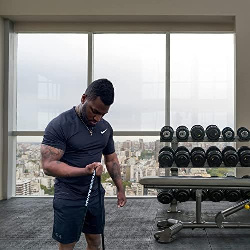 Functional Fitness Pull Up Bands Resistance Bands | Exercise Bands for Working Out | Long Stretch Bands for Exercise, Training Bands, Resistance Bands for Stretching