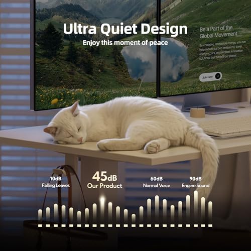 INNOVAR Electric Height Adjustable Standing Desk, 55x24 Inch, White